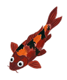 Koi fish