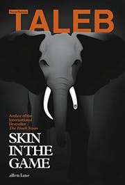 Cover of Skin in the Game: The Hidden Asymmetries in Daily Life